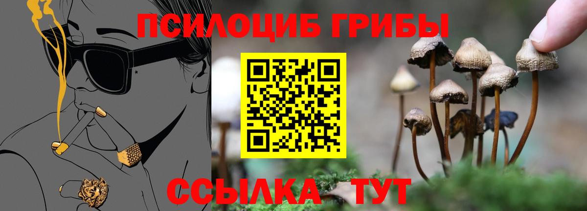 Псилоцибиновые грибы мухоморы Фурманов